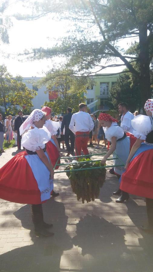 Moravská Nová Ves Za Vodou 게스트하우스 외부 사진